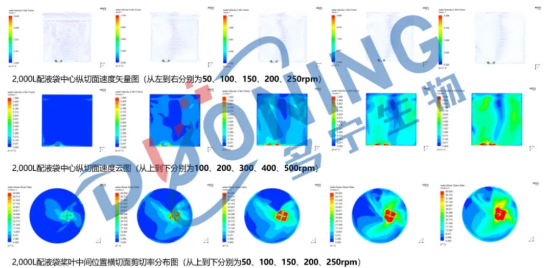 工業(yè)規(guī)模包涵體復(fù)性工藝的開發(fā)